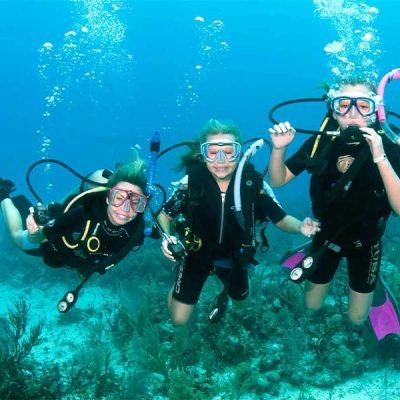 Daily Diving In Marsa Alam