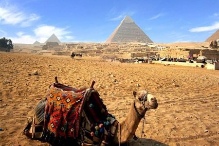 Day Tour In Cairo