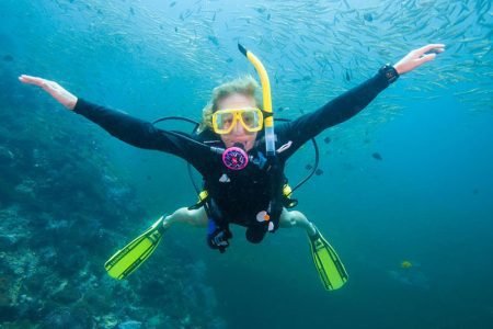 Open Water Diver Course