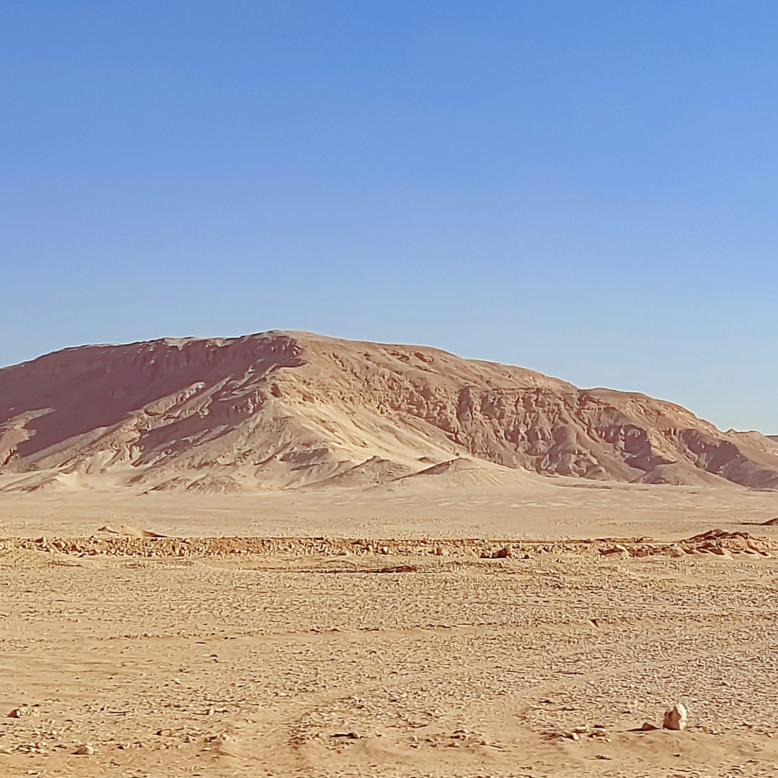 a desert landscape with a mountain in the background