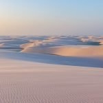 field of white sand