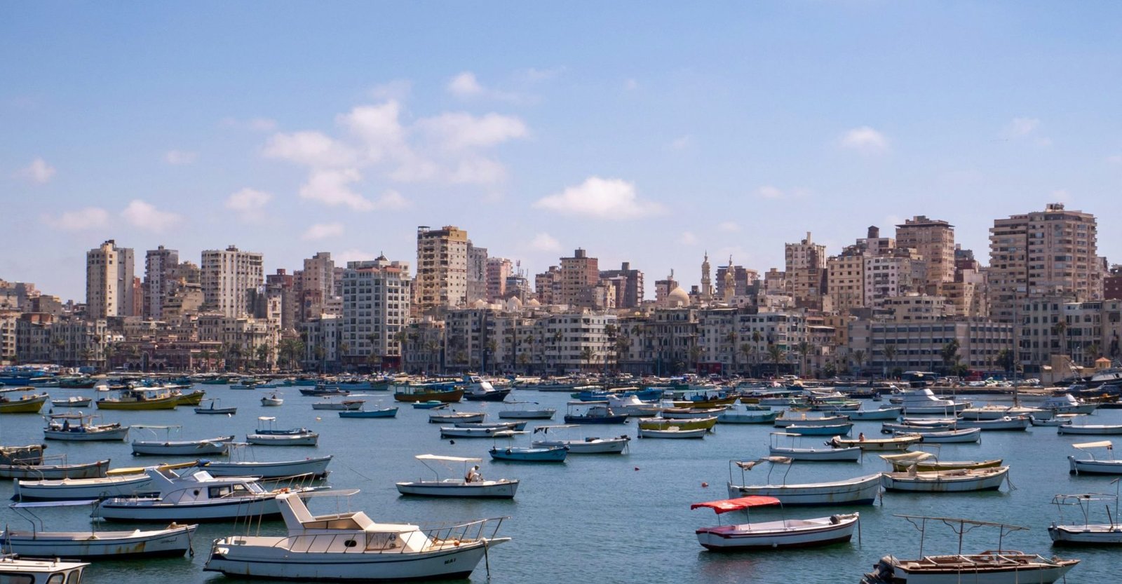 white and blue boats on sea near city buildings under blue sky during daytime