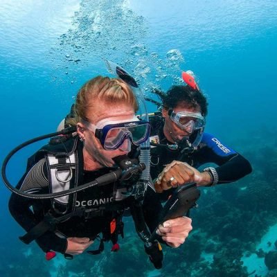 Daily Diving In Hurghada